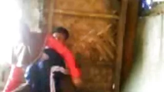 বেশ কিছু বাস্তু বান্ ...