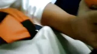 বন্য জাপানি ট্র্যাম্ ...