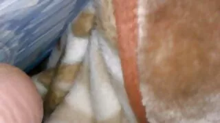 নের্ডি শ্যামাঙ্গিনী  ...