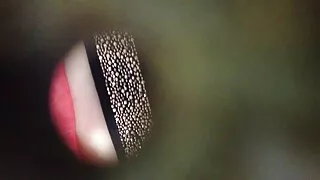 কিঙ্কি শ্যামাঙ্গিনী  ...