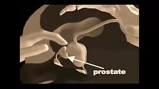 সেরা ব্রাজিলিয়ান হু ...