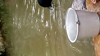 বড় বুবি সহ হর্নি ভা ...