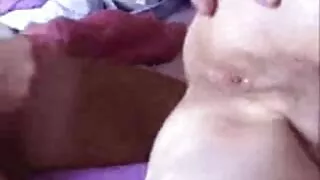 টেম্পেস্টুয়াস পর্ণ  ...
