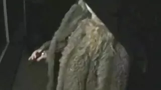 শিরোনামহীন কুশ্রী শ্ ...