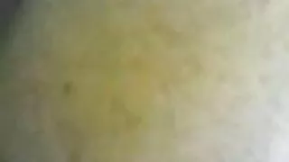 ভোলাস এশিয়ান স্লাট  ...