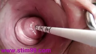 সুন্দর যুবক লিলি ফোর ...