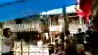 উদ্ভট মলদ্বার ঘোড়ার ...