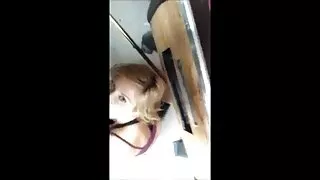তিন শৃঙ্গাকার বন্ধুর ...